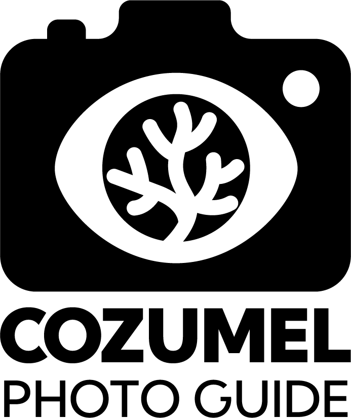 cozumelpg logo